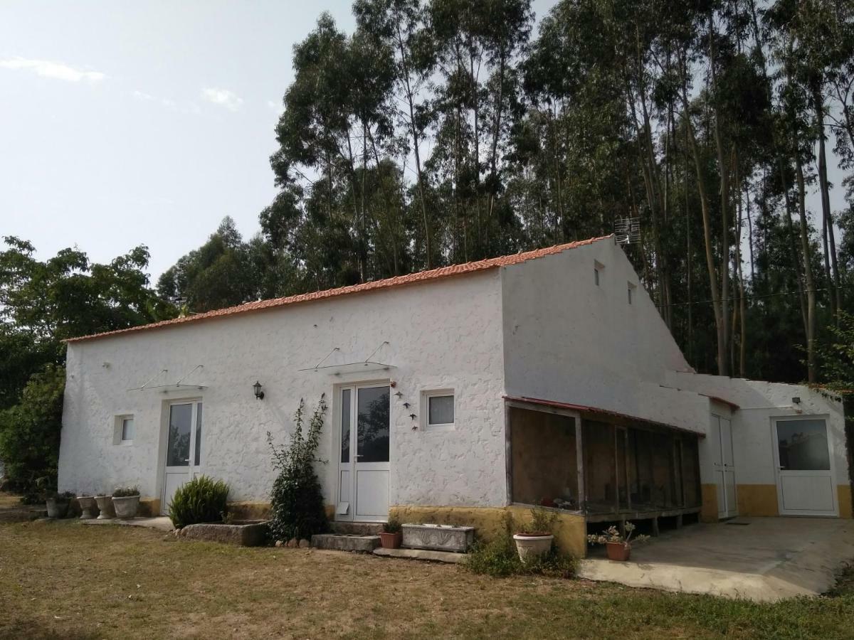 Quinta da Mesa Macinhata do Vouga Exterior foto